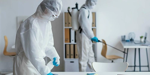 Expert Termite and Rodent Control Expert Termite and Rodent Control