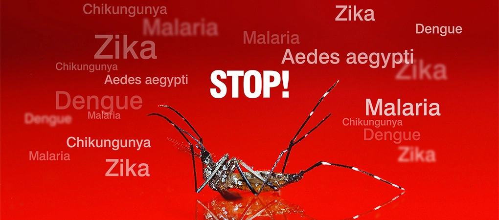 Mosquito Control Services in Coimbatore