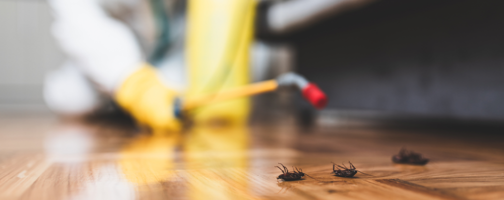 Termite Control Coimbatore