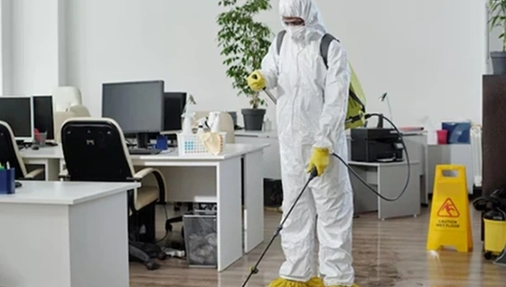 best pest control company in Coimbatore