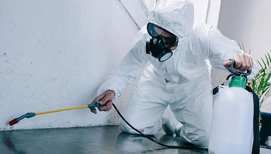 top pest control services in Coimbatore,
