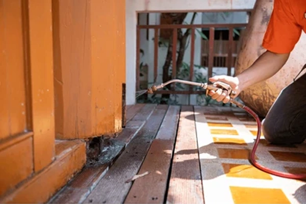 Termite Treatment in Coimbatore